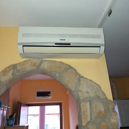 Rakoczi Πετς